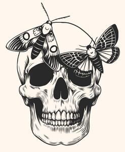Illustrazione Hand drawn human skull head butterfly, Julia Solodukhina