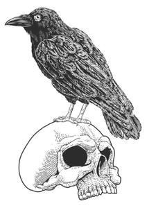 Illustrazione Crow Raven Corvus Bird and Skull Vintage Woodcut, ChrisGorgio