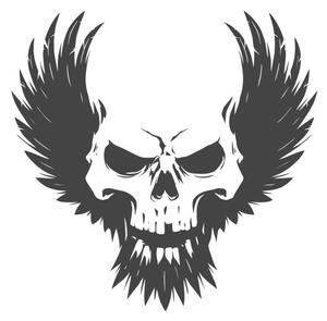 Illustrazione Black skull illustration with wings, d1sk