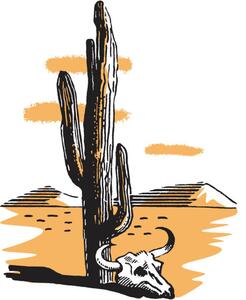 Illustrazione Cactus, CSA Images