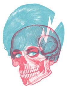 Illustrazione Skull, CSA Images