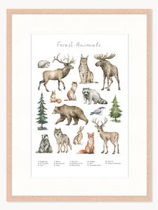 Stampa digitale incorniciata per bambini Forest Animals, varie misure