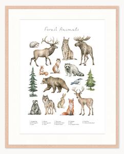 Stampa digitale incorniciata per bambini Forest Animals, varie misure