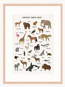 Stampa digitale incorniciata per bambini Alphabet Animal Chart, varie misure