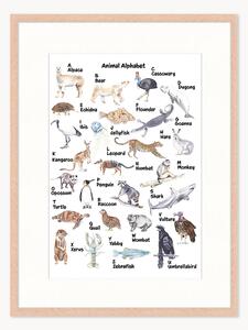 Stampa digitale incorniciata per bambini Animal Alphabet, varie misure