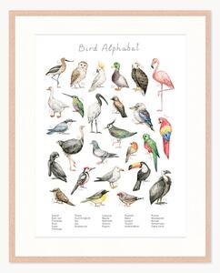Stampa digitale incorniciata per bambini Bird Alphabet, varie misure