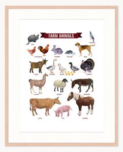 Stampa digitale incorniciata per bambini Farm Animals, varie misure
