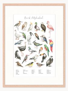 Stampa digitale incorniciata per bambini Bird Alphabet, varie misure