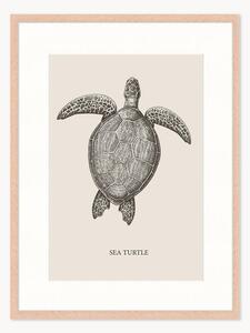 Stampa digitale incorniciata Sea Turtle, varie misure