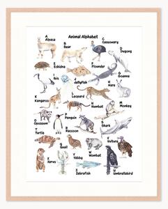 Stampa digitale incorniciata per bambini Animal Alphabet, varie misure
