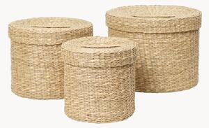 Set di 3 cestini in fibra naturale Gaby