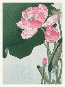 Riproduzione Blooming Lotus Japandi Vintage - Ohara Koson, (30 x 40 cm)