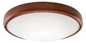 Plafoniera LED 1xLED/24W/230V