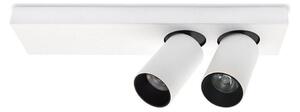 Luce Spot a LED da soffitto BERGEN 2xLED/11W/230V