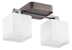 Lampadario a plafone TONI 2xE27/60W/230V