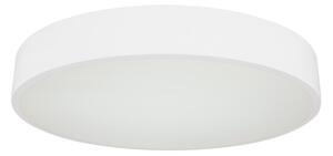 Globo 41744-24 - Plafoniera LED dimmerabile WISS LED/24W/230V