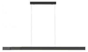 Paul Neuhaus Lampada a sospensione LED PURE LUME regolabile in altezza, regolazione del colore CCT, dimmer a sensore antracite Soggiorno, sala da pranzo, cucina 2738-95, 2738-13