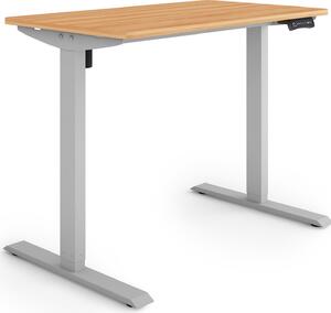 ESMART Germany ETX-121GM 100 x 60 cm Decorazione acero Scrivania ergonomica sit-stand Regolabile elettricamente in altezza in modo continuo 73,5 - 123,5 cm 3x memoria Promemoria attività Soft-Start/Stop Montaggio rapido