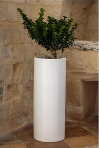 Vaso Porta vaso, BAROCCO in polietilene 35xh90 cm Modello Ionico spessore 2 mm colore Bianco