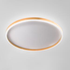 Gea Luce Aela P/G plafoniera LED 60W+12W Pesca