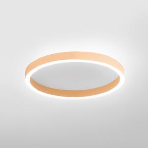 Gea Luce Aela P/M plafoniera LED 50W+10W Pesca