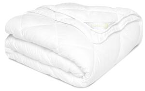 Set copripiumino e cuscino Beautissu 4 stagioni 155x220 + cuscino 80x80