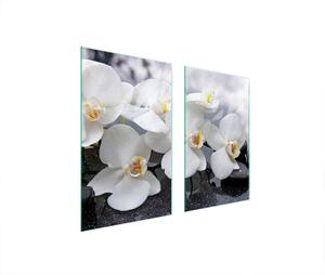 Piastre copri fornelli 2 pezzi 75x52 Copri piano cottura in Vetroceramica tagliere in vetro Orchid White