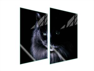 Piastre copriforno 2 pezzi 35x52 Vetroceramica copriforno tagliere vetro gatto nero