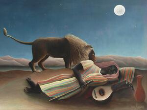 Riproduzione The Sleeping Gypsy, Henri Rousseau