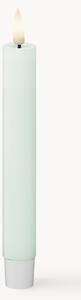 Candele a bastoncino a LED fatte a mano Real Flame, alt. 15 cm, 2 pz
