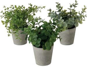 Set 3 piante artificiali in vaso Timothy