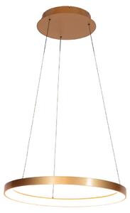 Steinhauer - lampada a sospensione - Ringlede - oro - metallo - Ø 60cm - LED - 4612GO