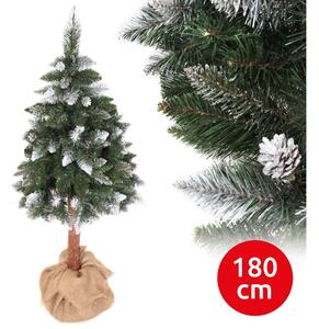 Albero di Natale PIN 180 cm pino