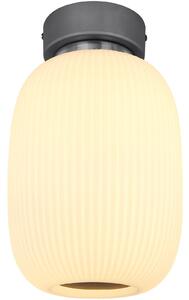 Globo Lighting plafoniera in metallo grafite, nichel opaco, vetro opalino, ø: 200mm, H: 325mm, incl. LED 21W 230V, sorgente 1714lm, resa 1237lm, 3000K