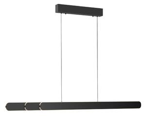 Schöner Wohnen 12577-18 - Lampadario LED dimmerabile su cavo ADRIANA 2xLED/24W/230V nero