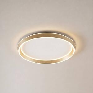 Plafoniera soffitto Rylan Lucande, dimmerabile, Ottone / Oro, Soggiorno / Sala da pranzo, Metallo, Moderno, Plafoniera