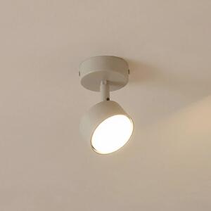Faretto da soffitto Nemo, a 1 luce, grigio-beige, orientabile, GX53 Nemo SIGMA, dimmerabile, Crema / Ambra, Soggiorno / Sala da pranzo, Metallo, Moderno, Faretto