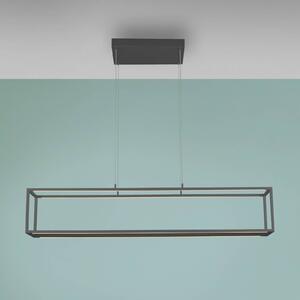 Paul Neuhaus Lampada LED a sospensione Conni, nera, 130 cm, CCT dimmerabile, Nero, Soggiorno / Sala da pranzo, Alluminio, Moderno