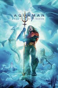 Stampa d'arte Aquaman and the Lost Kingdom - King, (26.7 x 40 cm)