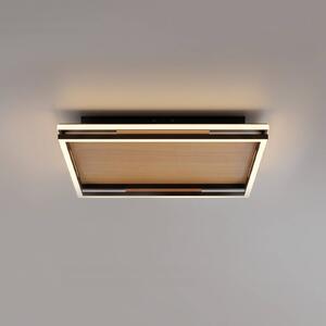 Paul Neuhaus Plafoniera soffitto Sveja, dimmerabile, Legno chiaro, Soggiorno / Sala da pranzo, Legno, Moderno, Plafoniera