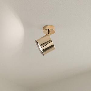 Faretto da soffitto Chloe, orientabile, a 1 luce, acciaio color ottone Chloe Argon, dimmerabile, Ottone / Oro, Soggiorno / Sala da pranzo, Metallo, Moderno, Faretto