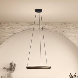 Eglo 390451 - Lampada a sospensione LED dimmerabile TRABUCO 2xLED/19W/230V 2200-6500K marrone