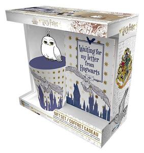 Set regalo Harry Potter - Hedwig