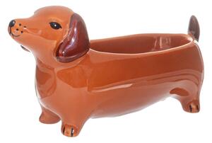 Ciotola decorativa in porcellana 5x14 cm Sausage Dog - Sass & Belle