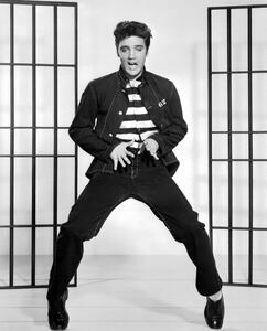 Fotografia Jailhouse rock 1957