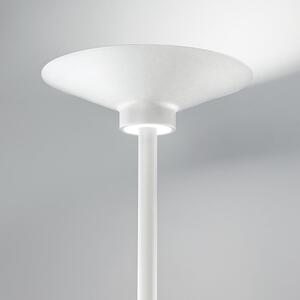 Gea Luce GPI 10 lampada da terra LED dimmerabile