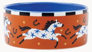 Ciotola decorativa in ceramica A Dopo Horse