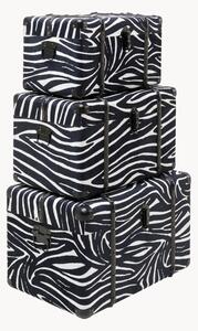 Set di 3 scatole Wild Animal Zebra