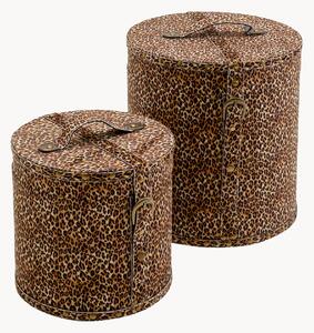 Set di 2 scatole Wild Animal Leo
