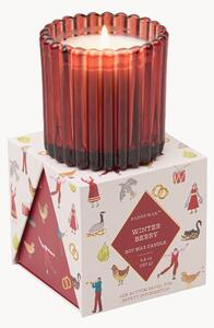 Candela profumata Christmas (Winter Berry)